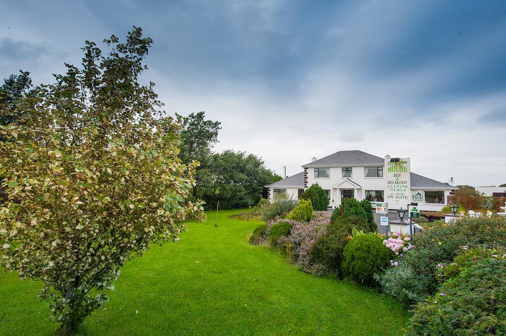 Castle View House Bed & Breakfast Ballylongford Dış mekan fotoğraf