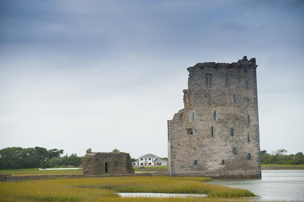 Castle View House Bed & Breakfast Ballylongford Dış mekan fotoğraf